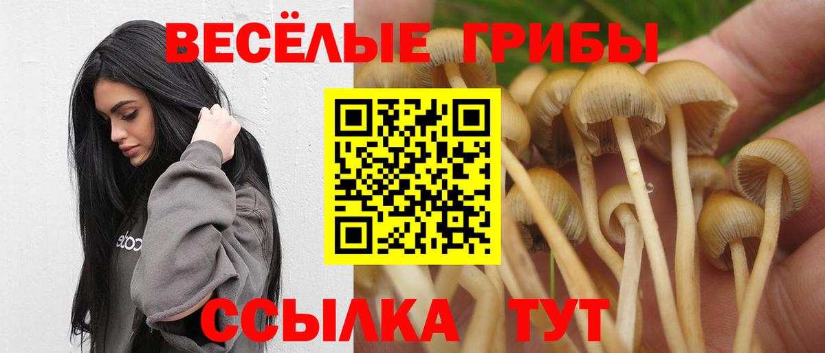 Волжский  Псилоцибиновые грибы Psilocybe  Вход с VPN 